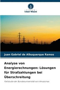 bokomslag Analyse von Energierechnungen