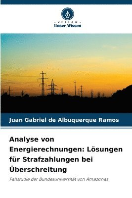 bokomslag Analyse von Energierechnungen