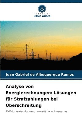 Analyse von Energierechnungen