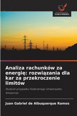 bokomslag Analiza rachunkw za energi&#281;