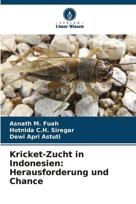 Kricket-Zucht in Indonesien: Herausforderung und Chance 1