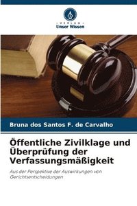 bokomslag ffentliche Zivilklage und berprfung der Verfassungsmigkeit