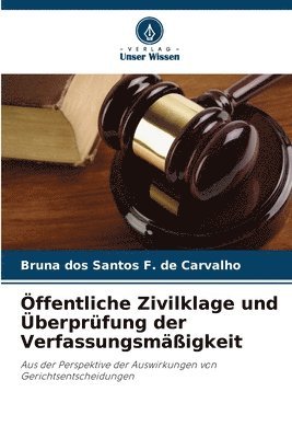 bokomslag Öffentliche Zivilklage und Überprüfung der Verfassungsmäßigkeit