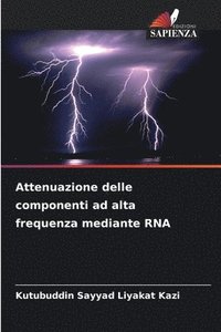 bokomslag Attenuazione delle componenti ad alta frequenza mediante RNA