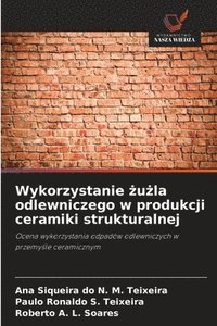 bokomslag Wykorzystanie &#380;u&#380;la odlewniczego w produkcji ceramiki strukturalnej