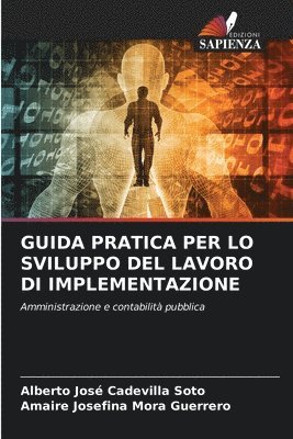 bokomslag Guida Pratica Per Lo Sviluppo del Lavoro Di Implementazione