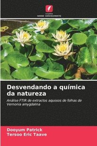 bokomslag Desvendando a química da natureza