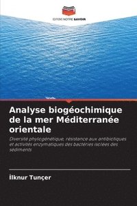 bokomslag Analyse biogéochimique de la mer Méditerranée orientale