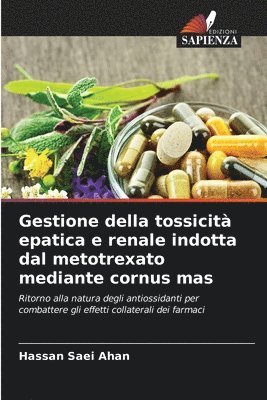 Gestione della tossicità epatica e renale indotta dal metotrexato mediante cornus mas