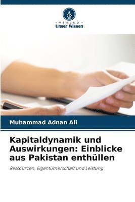 bokomslag Kapitaldynamik und Auswirkungen: Einblicke aus Pakistan enthüllen