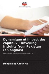 bokomslag Dynamique et impact des capitaux: Unveiling Insights from Pakistan (en anglais)