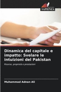 bokomslag Dinamica del capitale e impatto