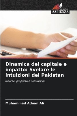 Dinamica del capitale e impatto: Svelare le intuizioni del Pakistan 1