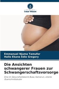 bokomslag Die Ansichten schwangerer Frauen zur Schwangerschaftsvorsorge