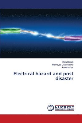 Raju Basak, Maitrayee Chakrabarty, Rakesh Das - Electrical hazard and post disaster, Häftad