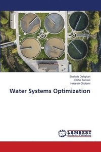 bokomslag Water Systems Optimization