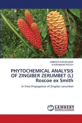 bokomslag PHYTOCHEMICAL ANALYSIS OF ZINGIBER ZERUMBET (L) Roscoe ex Smith
