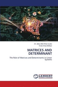 bokomslag Matrices and Determinant