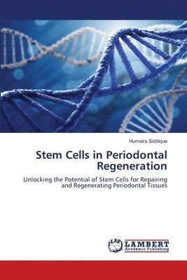 Stem Cells in Periodontal Regeneration 1