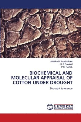 Namrata Pansuriya, H R Ramani, P S Patel - Biochemical and Molecular Appraisal of Cotton Under Drought, Häftad