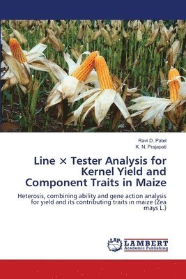 bokomslag Line  Tester Analysis for Kernel Yield and Component Traits in Maize