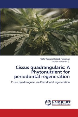 bokomslag Cissus quadrangularis: A Phytonutrient for periodontal regeneration