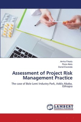 bokomslag Assessment of Project Risk Management Practice