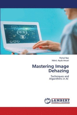 Mastering Image Dehazing 1