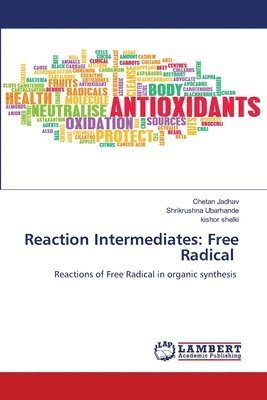 Chetan Jadhav, Shrikrushna Ubarhande, Kishor Shelki - Reaction Intermediates, Häftad