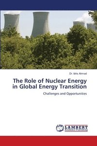 bokomslag Role of Nuclear Energy in Global Energy Transition