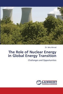 bokomslag Role of Nuclear Energy in Global Energy Transition
