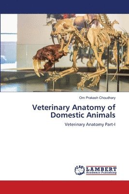 Om Prakash Choudhary - Veterinary Anatomy of Domestic Animals, Häftad
