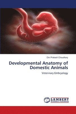 bokomslag Developmental Anatomy of Domestic Animals