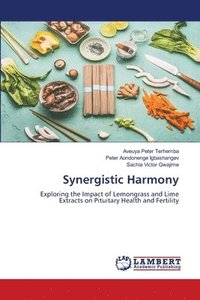 bokomslag Synergistic Harmony