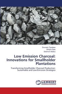 bokomslag Low Emission Charcoal