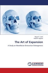 bokomslag Art of Expansion