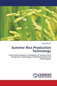 bokomslag Summer Rice Production Technology