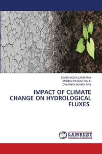 bokomslag Impact of Climate Change on Hydrological Fluxes