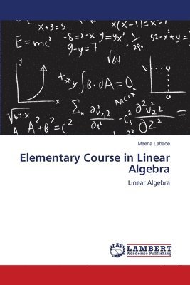 bokomslag Elementary Course in Linear Algebra
