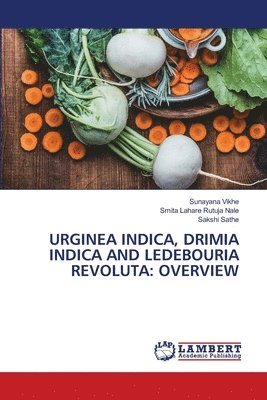 Urginea Indica, Drimia Indica and Ledebouria Revoluta: Overview 1