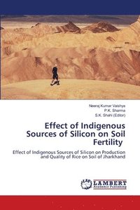 bokomslag Effect of Indigenous Sources of Silicon on Soil Fertility