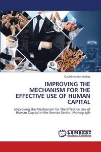 bokomslag Improving the Mechanism for the Effective Use of Human Capital