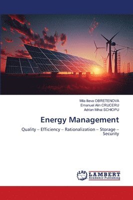 bokomslag Energy Management