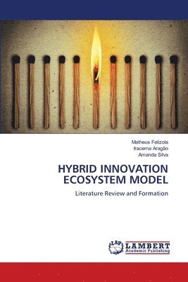 Hybrid Innovation Ecosystem Model 1