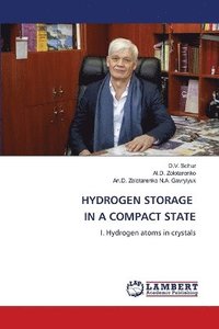 bokomslag Hydrogen Storage in a Compact State