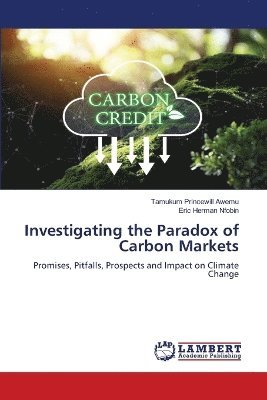 bokomslag Investigating the Paradox of Carbon Markets