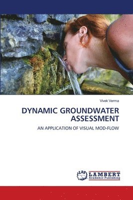 bokomslag DYNAMIC GROUNDWATER ASSESSMENT