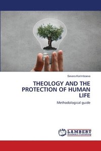 bokomslag Theology and the Protection of Human Life