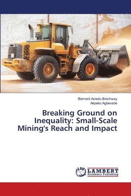 bokomslag Breaking Ground on Inequality