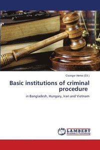 bokomslag Basic institutions of criminal procedure